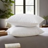Peace Nest Gusseted Goose Down Feather Pillows Set of 2 - 2 of 4