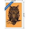 Trends International Rachel Caldwell - Warrior Owl On Orange Framed Wall Poster Prints - 3 of 4