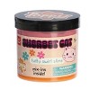 Aurora Toys Medium Sherbet Cat Slime Poppy Slime Co. Gooey Toy Pink 11.3oz - 3 of 4