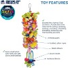 Prevue Pet Products 62606 Calypso Creations Club Bird Toy, Multicolor - 3 of 3