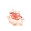 Collectible Wildlife Gifts | Lobster, Crayfish, Crawdad Design, Red, Rubber Crustaceans, Educational, Model,  Gift,     7"       F1947 B173 - 4 of 4