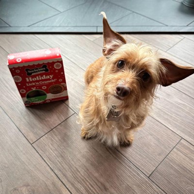 Guest review image 2 of 3, zoom in