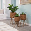 Naysaye Planters, 3PCS Round Planter with Stand, Plant Pots for Hall, Living Room, Brown, 15”*15“*26” - 2 of 4