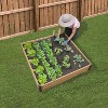 Miracle-Gro 12pc Square Wood Outdoor Garden Bed Natural Wood 48"x48" - 2 of 4