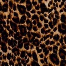 brown painterly cheetah
