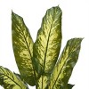 Syemin Artificial Plants Artificial Plant Evergreen Tree Indoor Outdoor Faux Fake Fall Decorations for Home Fake Plants, Green, 31.5"*31.5"*47.25" - 3 of 4