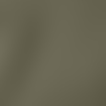 burnt olive