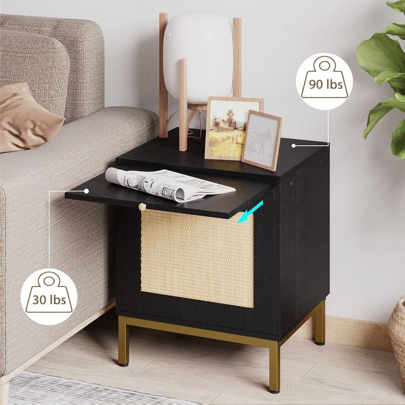 Night Stand, Accent Bedside Table with Storage Cabinets, Modern Rattan Side Table with Sturdy Metal Legs for Living Room, Rattan Night Stand, 5 of 9