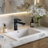 Cobbe Single Handle Vanity Sink Faucets Single-Hole Installation Bathroom Faucet Matte Black - 2 of 4