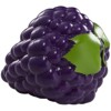 Hutzler 3-Piece Fruit Saver Set, Includes Grapes, Blueberry and Raspberry To-Go Containers - 2 of 4