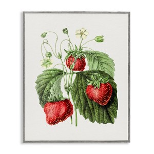 Stupell Industries Vintage Strawberries Study, 14" x 11" - 1 of 4