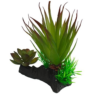 Multipet 48593312: Komodo Succulent Plant