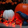 70 Lights Electric Globe String Lights LED Orange: Lumabase, Halloween Pumpkin Theme, Indoor/Outdoor, UL Listed - 4 of 4