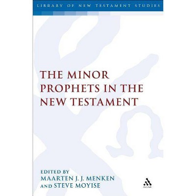 The Minor Prophets in the New Testament - (Library of New Testament Studies) by  Maarten J J Menken & Steve Moyise (Paperback)