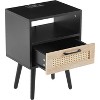 15.75" Multifunctional Nightstand Rattan End Table Storage Cabinet with Drawer Shelf USB Charging Ports Power Outlet for Living Room Bedroom - 4 of 4