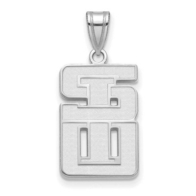 Black Bow Jewelry 14k White Gold Southern Illinois Salukis NCAA Large Pendant