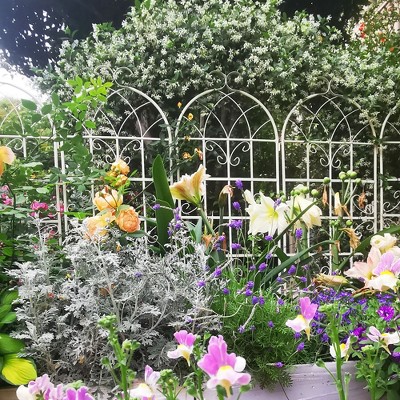 NicBex Metal Garden Arch Garden Trellis Netting Rust-Proof Metal Garden Trellis for Climbing Plants