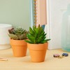Juvale 2.5 Inch Small Terracotta Pots, Terra Cotta Decor with Drainage Hole, Paintable Pottery Clay Planter for Succulents, Flower Garden - 4 of 4