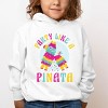 The Juniper Shop Party Like A Pinata Toddler Hoodie - 3 of 4