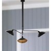 Lewis Metal Pendant Lamp - LIT4461 - Black - Safavieh - 3 of 4