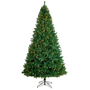 Nearly Natural 11-ft Northern Tip Artificial Christmas Tree with 1000 Clear LED Lights and 2720 Bendable Branches - 1 of 4