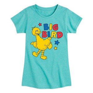 Girls' - Sesame Street - Big Bird Color Block Fitted Short Sleeve Graphic T-Shirt - 1 of 4