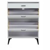 Chery Life Shoe Cabinet , Shoe Storage Shelves, Metal Leg - 2 of 4