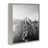 Stupell Industries Tall Grass Lake Water Landscape, 24" x 24" - 3 of 4