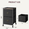 Acekool Mobile Filing Cabinet, Black Under Desk File Cabinet with Lockable Wheels, Metal Office Storage Organizer for Home Office, Workplace - 2 of 4
