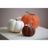 Shiraleah Assorted Set Of 3 Felt Fall Decorative Pumpkins - 4 of 4