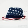 LEMONSODA American Flag Felt Fedora Hat - 2 of 4