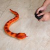 Topteng Remote Control Snake, RC Infrared Animal - 2 of 4
