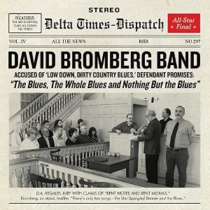 David Bromberg - Blues The Whole Blues And Nothing But (Vinyl) - 1 of 1