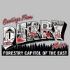 Womens It: Welcome to Derry Forestry Capitol of the East Greetings T Shirt - 2 of 4