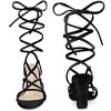 Perphy Women's Faux Velvet Strappy Lace Up Slingback Chunky Heels Sandals - 2 of 4