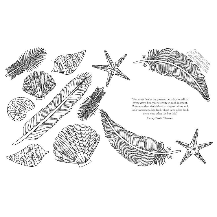 The Coloring Book of Mindfulness: Adult Creative Thinking & Relaxation, 96 Pages, Chronicle Books, 3 of 3