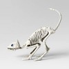 21" Cat Skeleton Halloween Decorative Prop - Hyde and EEK! Boutique™: Indoor/Outdoor Eerie Decor - 3 of 3