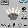 Novelty Lights 20 Light Incandescent Craft Mini Christmas String Lights Brown Wire 8.5 feet - 4 of 4