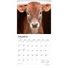 BrownTrout Baby Moo Moos 2026 12"x24" Hanging Square Wall Calendar Plastic-Free - 3 of 4