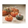 tagltd Heirloom Pumpkin Set Of 3 - 2 of 2