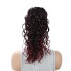 Unique Bargains Women's Latin American Curly Ponytail Long Hair Hair Extensions High Temperature Fiber 16IN 1 Pc - 2 of 4