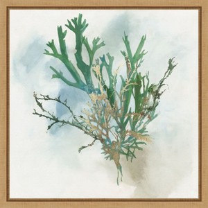 Amanti Art Green Coral I by Aimee Wilson Canvas Wall Art Print Framed 16 x 16-in. - 1 of 4
