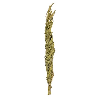 Vickerman 40-48 Twisted Coco Palm Stems, Dried : Target