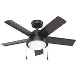 44" Seawall Outdoor Ceiling Fan with LED Light - Hunter Fan