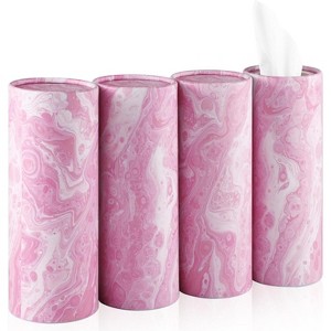 TruAIR Car Tissue Holder with 4 Canisters Ð Convenient Travel Accessory for Vehicles - 1 of 4