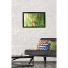 Trends International Fruits Basket - Kyo Soma Framed Wall Poster Prints - 2 of 4