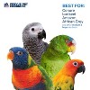 Prevue Pet Products Block Rock - Naturals Sound & Movement Bird Toy 60240 - 3 of 3