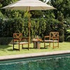 HOMLUX 2-Pack Outdoor Patio Accent Chairs Arm Chair with Cushion, X Back, Teak Oil - 2 of 4