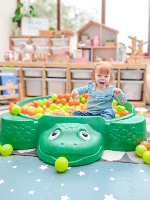 Turtle hot sale sandbox target