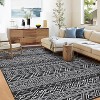 Washable Area Rugs Neutral Modern Living Room Rug Stain-Resistant Low Pile Non Slip Indoor Distressed Print Carpet - 2 of 4
